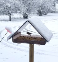 Vogelhaus  PLEXIGLAS® , braun getönt