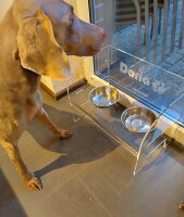 Futterstation Hunde, PLEXIGLAS®, transparent