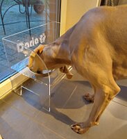 Futterstation Hunde, PLEXIGLAS®, transparent